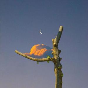 邱淑芬在厨房被躁到高潮
